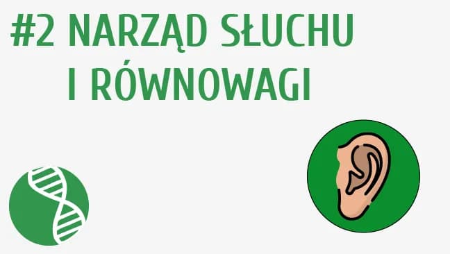 Jak słyszymy film edukacyjny - zrozumienie działania ucha i dźwięku
