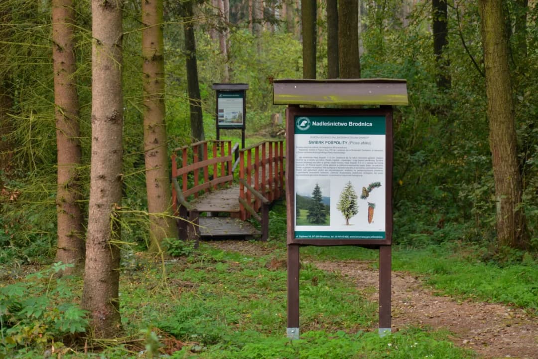 Ścieżka edukacyjna co to jest i jak wpływa na Twoją naukę